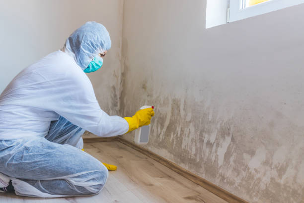 Mold Remediation specialist working in Shamokin Dam